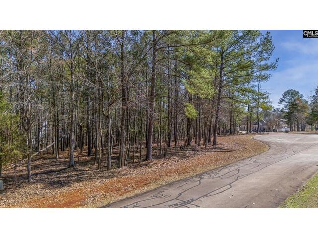 Photo of Lookout Point