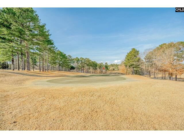 Photo of 271 Woodlander Drive