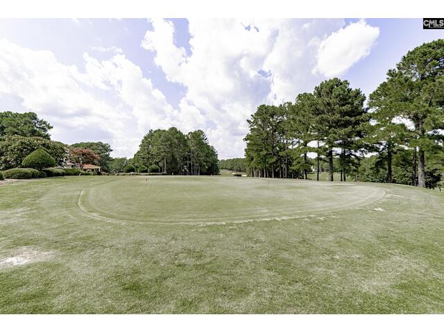 Photo of 271 Woodlander Drive