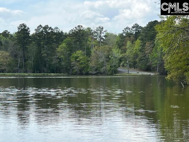 Photo of 280 General Sumter Drive