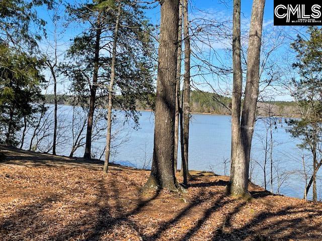 Photo of 499 Wateree Estates Road