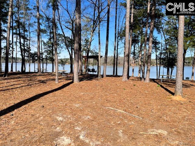 Photo of 499 Wateree Estates Road