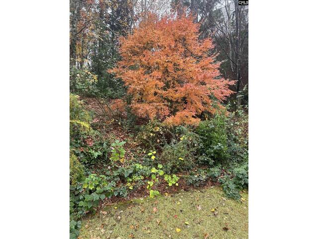 Photo of 310 Aiken Hunt Circle