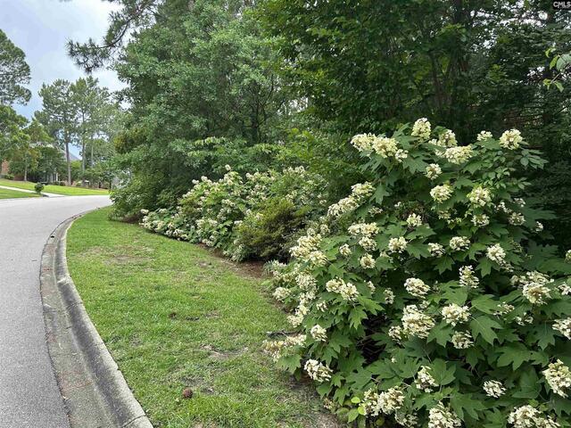 Photo of 310 Aiken Hunt Circle