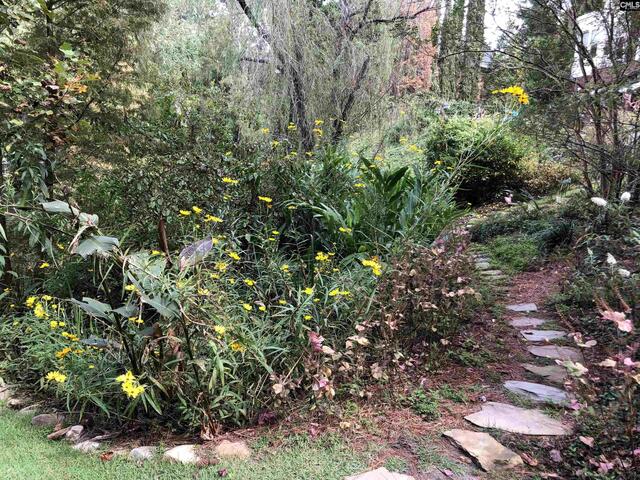 Photo of 310 Aiken Hunt Circle