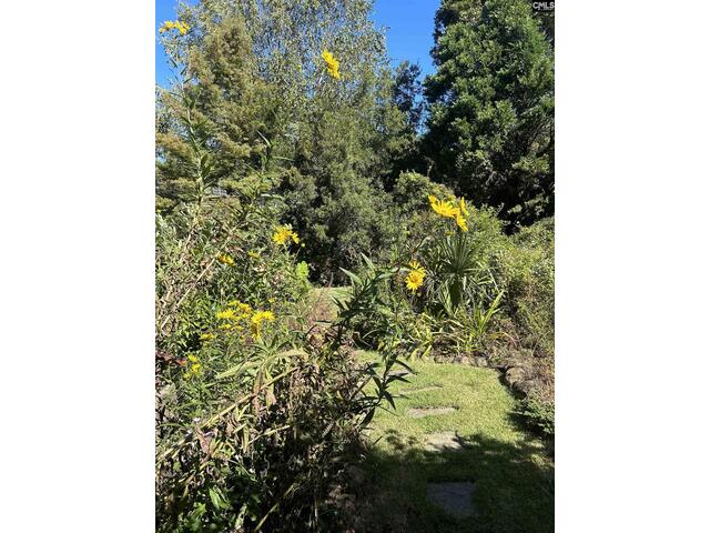 Photo of 310 Aiken Hunt Circle