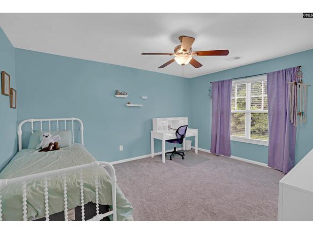 Photo of 411 Maypop Lane