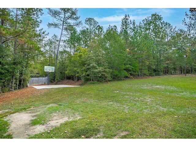 Photo of 411 Maypop Lane