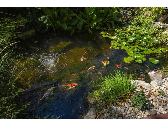 Photo of 121 Saluda Avenue