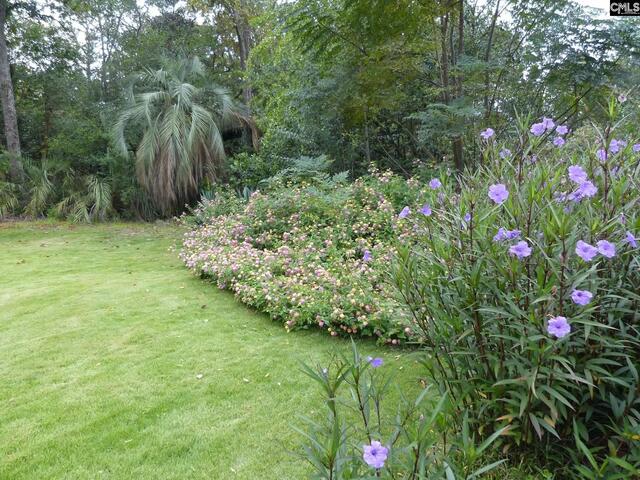 Photo of 4 Woodhill Circle