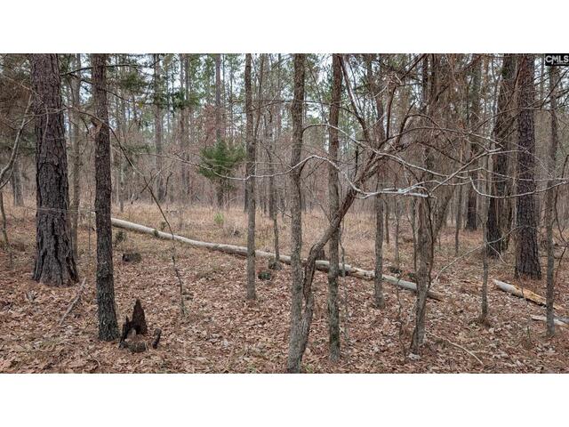 Photo of Lot 2 Retreat Way