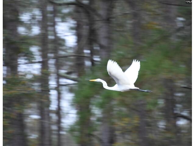 Photo of 202 Columbia Club Drive