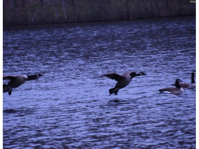 Photo of 202 Columbia Club Drive