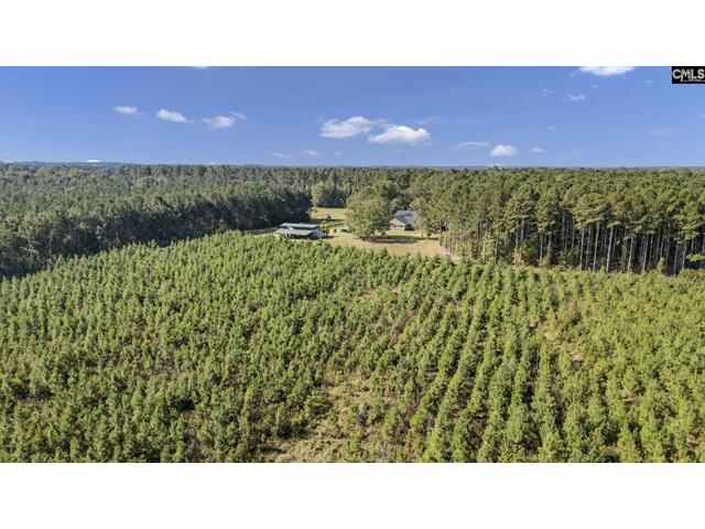 Photo of 187 Peach Tree Street