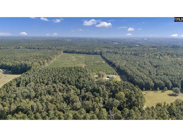 Photo of 187 Peach Tree Street