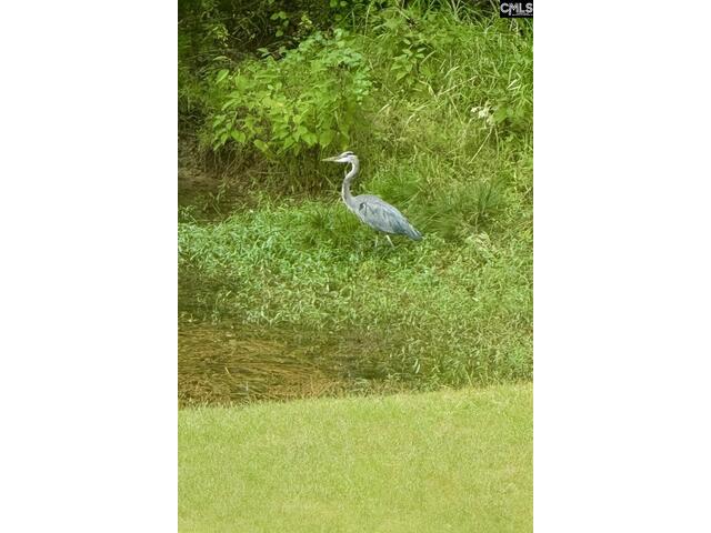 Photo of 1008 Jones Road