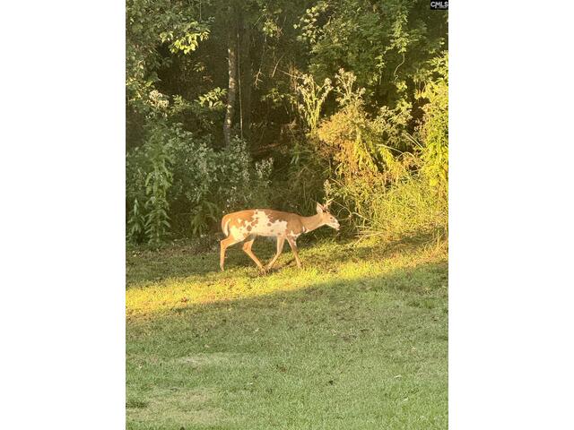 Photo of 1008 Jones Road