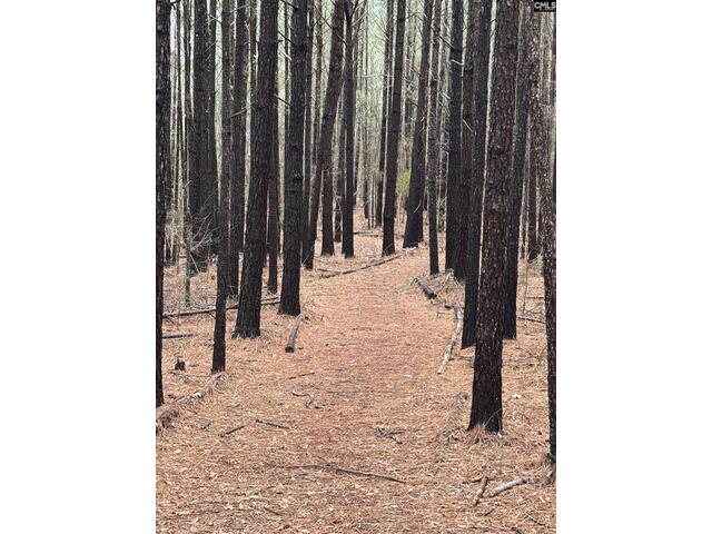 Photo of 1008 Jones Road