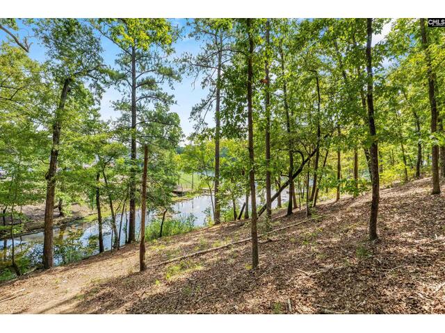 Photo of 1249 Screech Owl Road