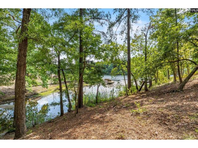 Photo of 1249 Screech Owl Road