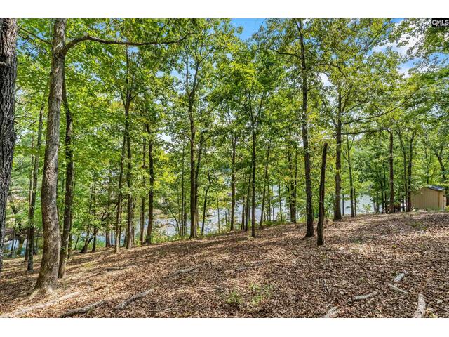 Photo of 1249 Screech Owl Road