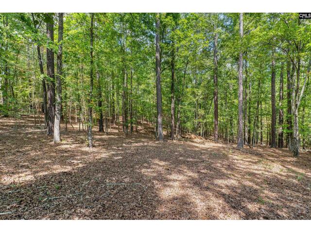 Photo of 1249 Screech Owl Road
