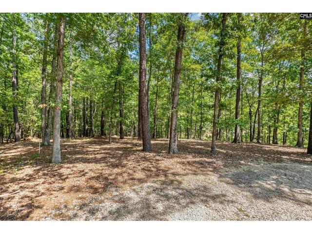 Photo of 1249 Screech Owl Road