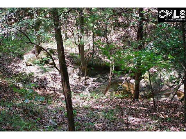 Photo of lot43A WATEREE KEY Court