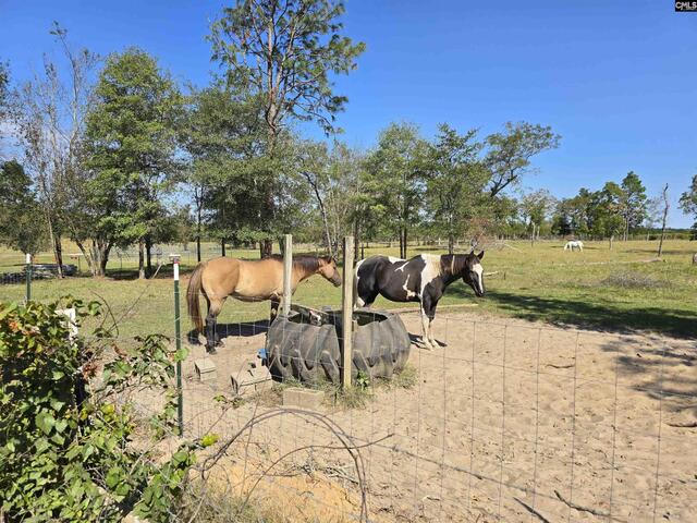 Photo of 991 Old Chalk Bed Road