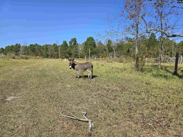 Photo of 991 Old Chalk Bed Road