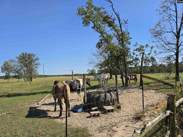 Photo of 991 Old Chalk Bed Road