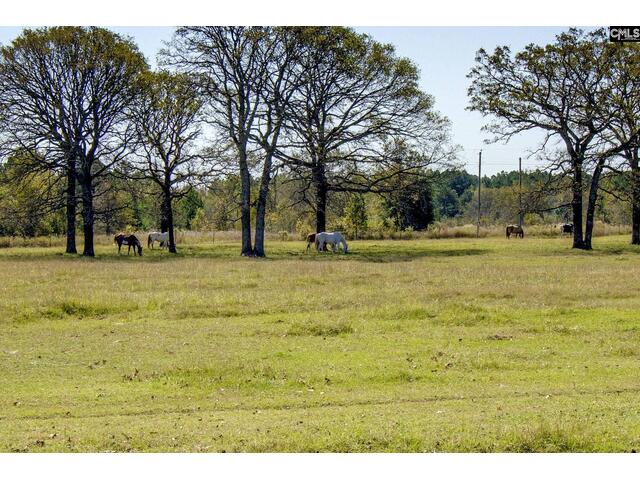 Photo of 991 Old Chalk Bed Road