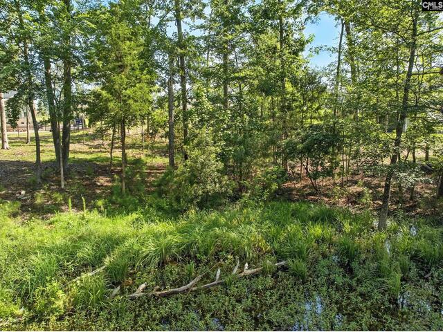 Photo of 0 Golden Way