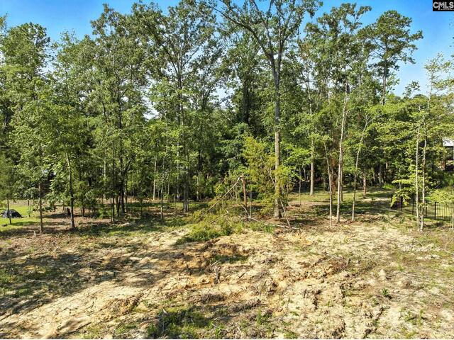 Photo of 0 Golden Way