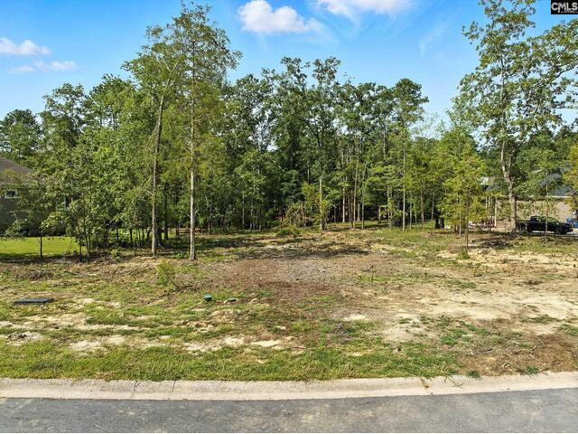 Photo of 0 Golden Way