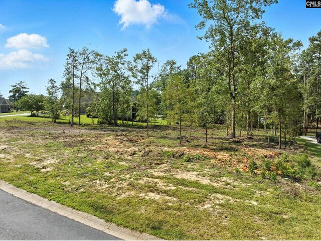 Photo of 0 Golden Way