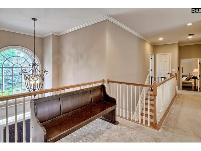 Photo of 87 Cowdray Park