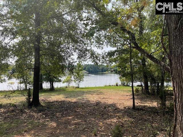 Photo of 923 Wateree Creek Valley Road