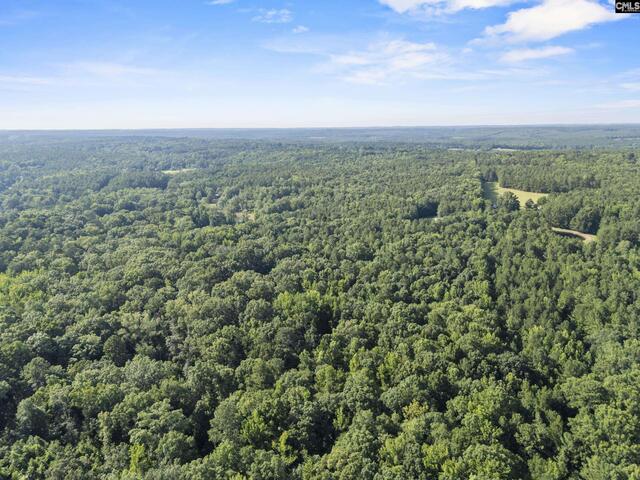 Photo of 259 Sessions Road