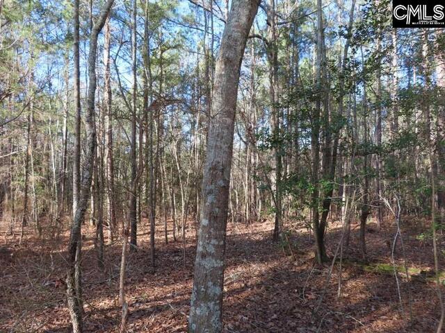 Photo of 0 Rhinehart Road