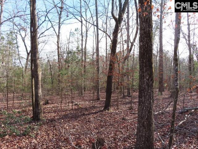 Photo of 0 Rhinehart Road