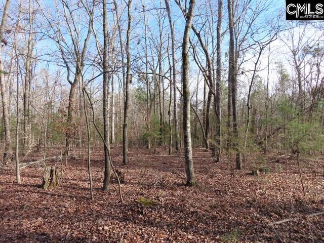 Photo of 0 Rhinehart Road