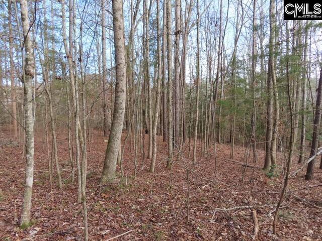 Photo of 0 Rhinehart Road