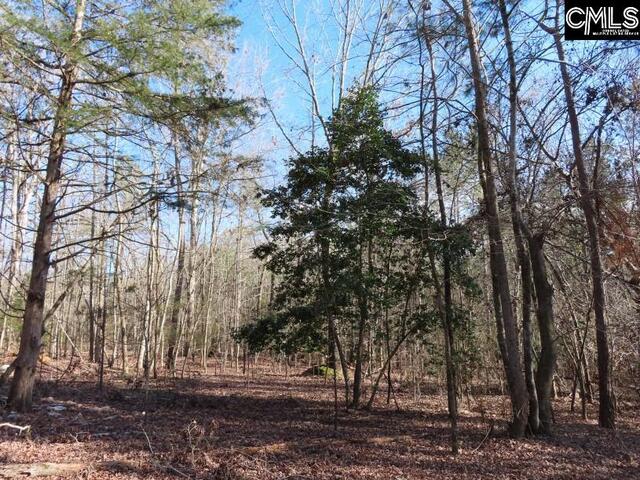 Photo of 0 Rhinehart Road