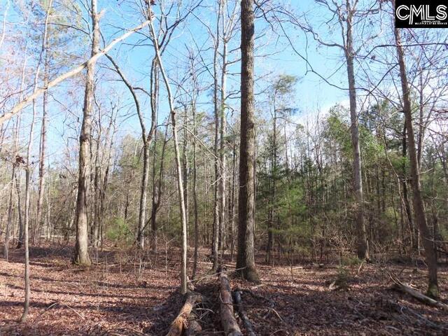 Photo of 0 Rhinehart Road