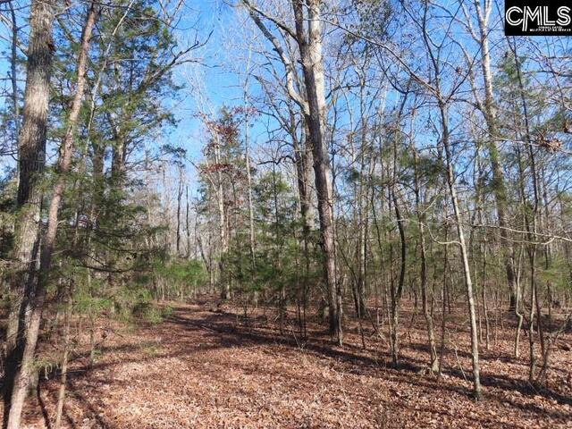 Photo of 0 Rhinehart Road