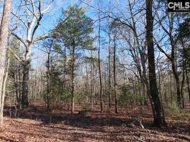 Photo of 0 Rhinehart Road