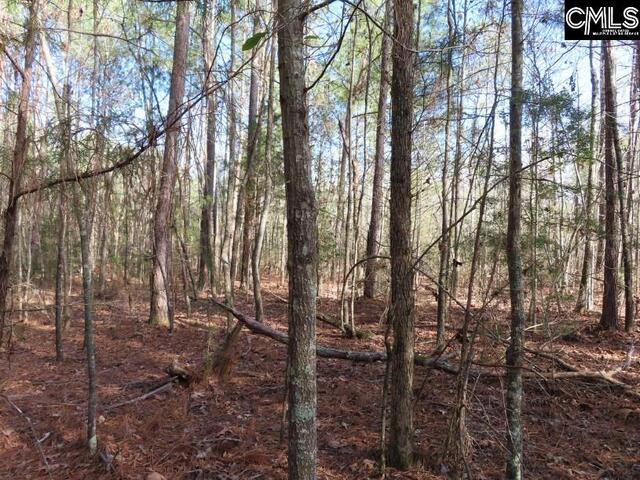 Photo of 0 Rhinehart Road