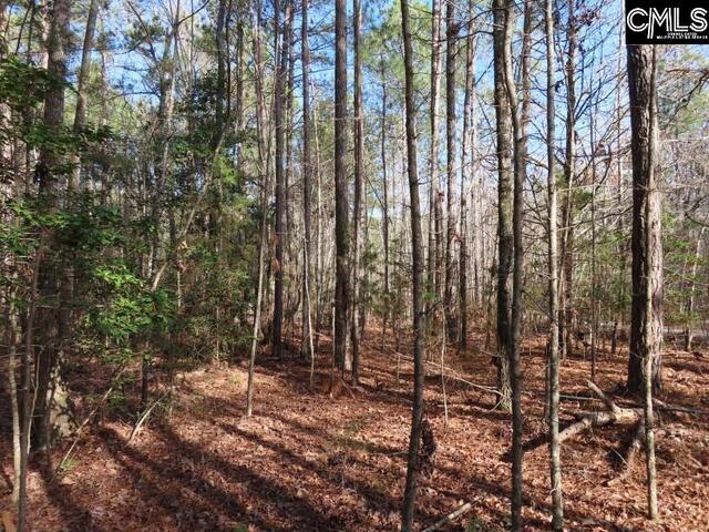 Photo of 0 Rhinehart Road