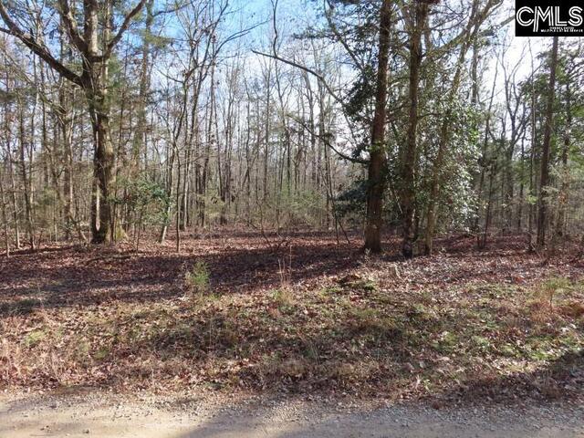 Photo of 0 Rhinehart Road